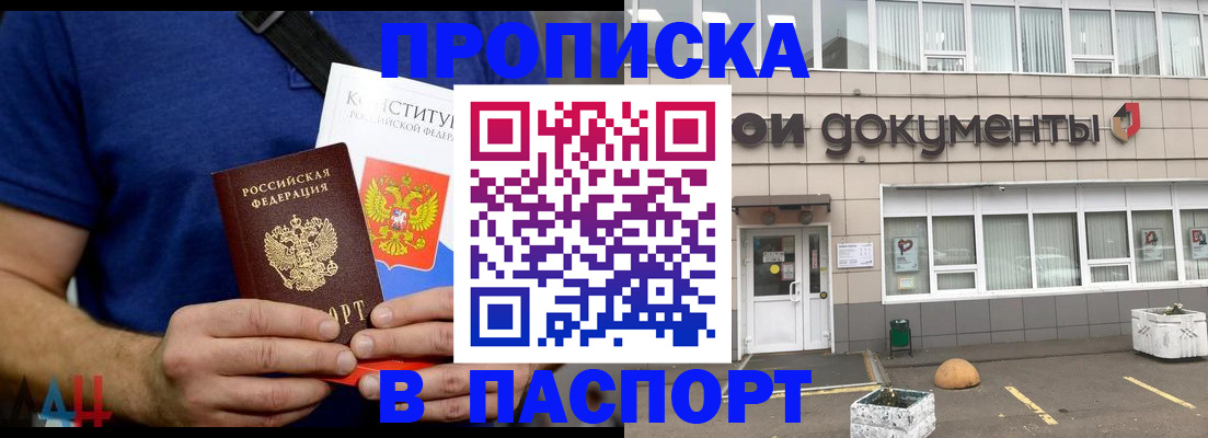 прописка паспорт в Великом Новгороде